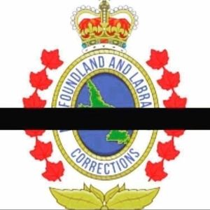 Meet your Posher, Allie